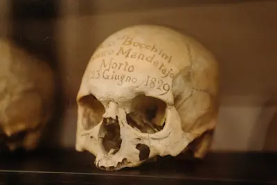 Walks Rome Alone in the Catacombs 0219